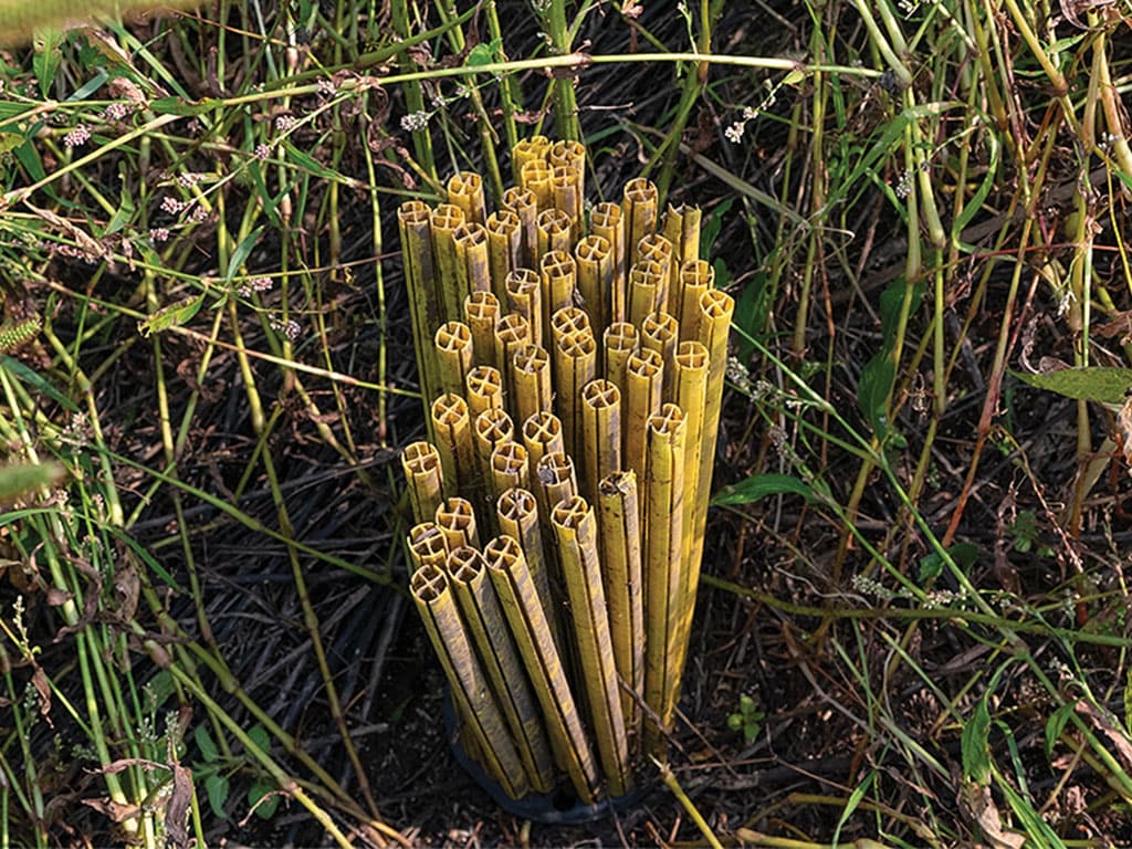 A cluster of hexagonal yellow tubes arranged upright, surrounded by greenery, suggesting an ecological or artistic project.