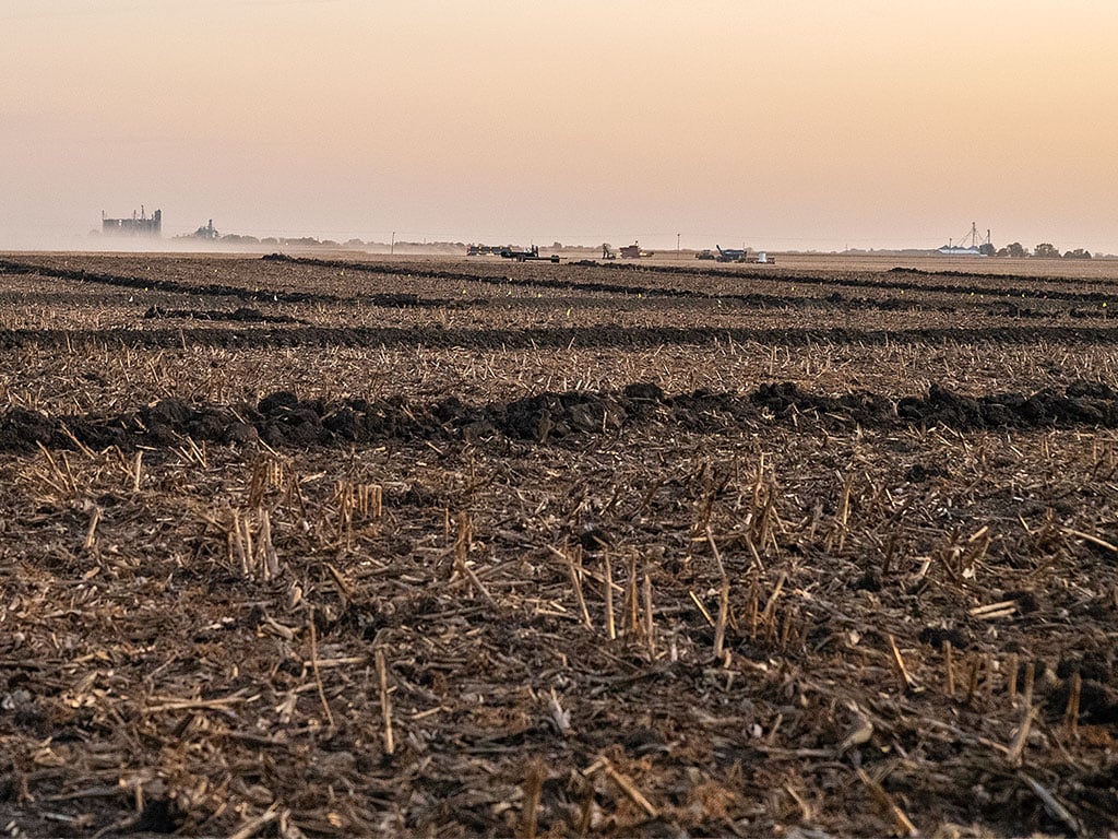 A field before crops have begun to grow