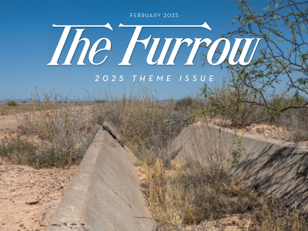 Furrow insignia featuring a blue sky and desert landscape.