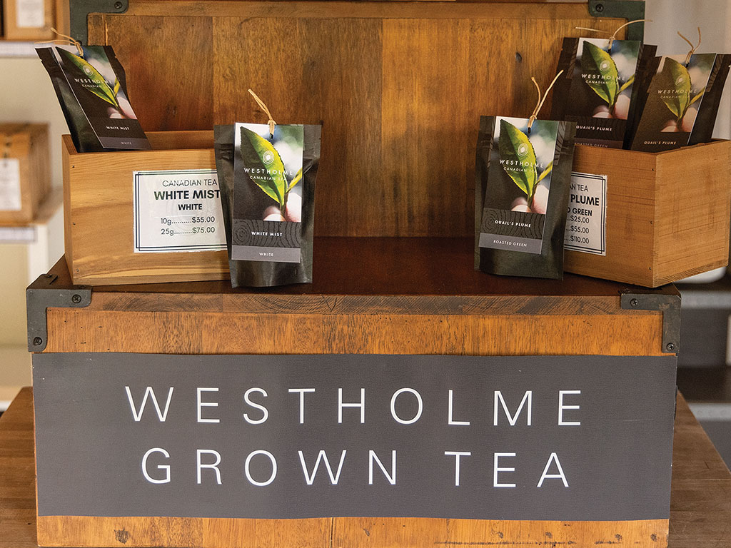 Wooden display of "Westholme Grown Tea" packets with pricing signs.