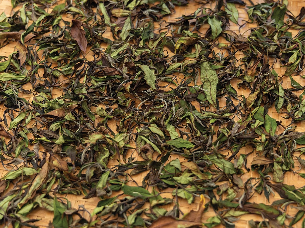 Dried green and brown leaves scattered on a wooden surface.