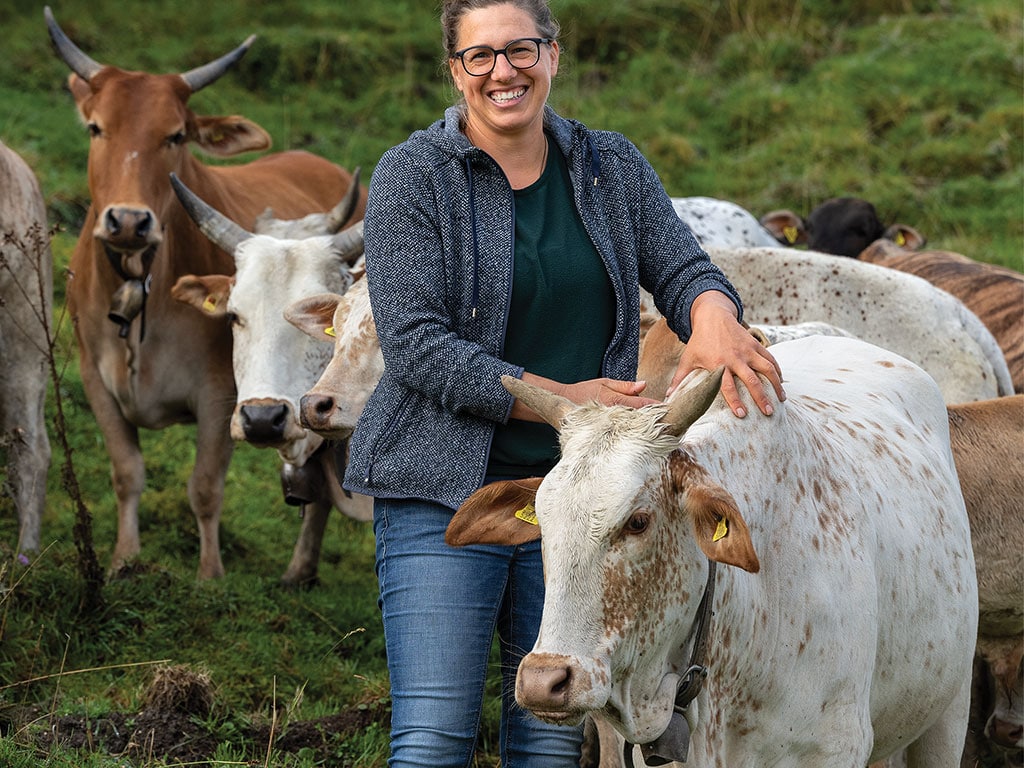 Person in a blue jacket petting a cow among a herd in a field.