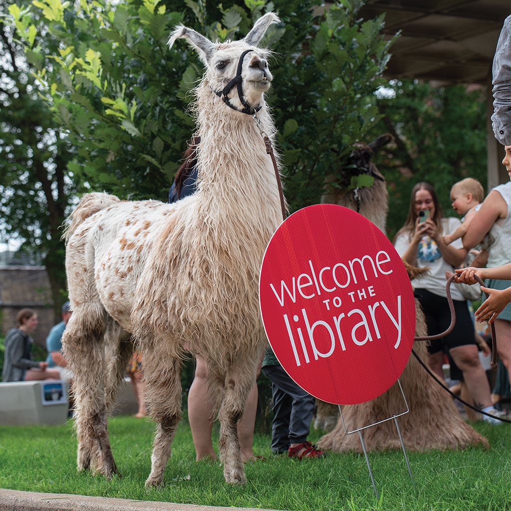 A llama stands next to a "Welcome to the library" sign outdoors.