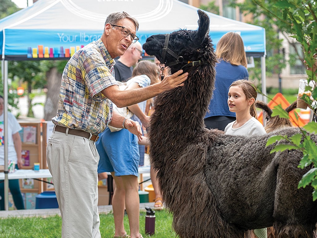 Person petting a llama at an outdoor community event.