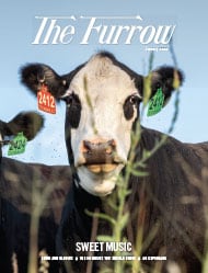 A black and white cow looking straight on with red and green tags attached to its ears