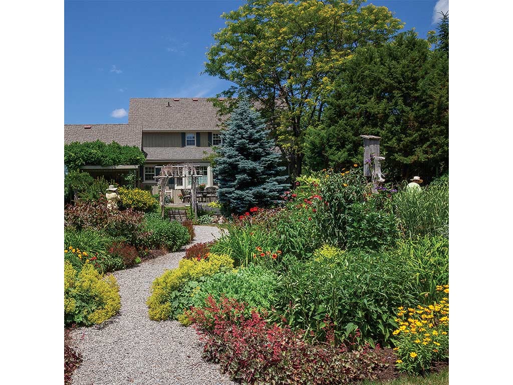 Lush garden path winding through vibrant flowers and greenery, leading to a cozy house under a bright blue sky.