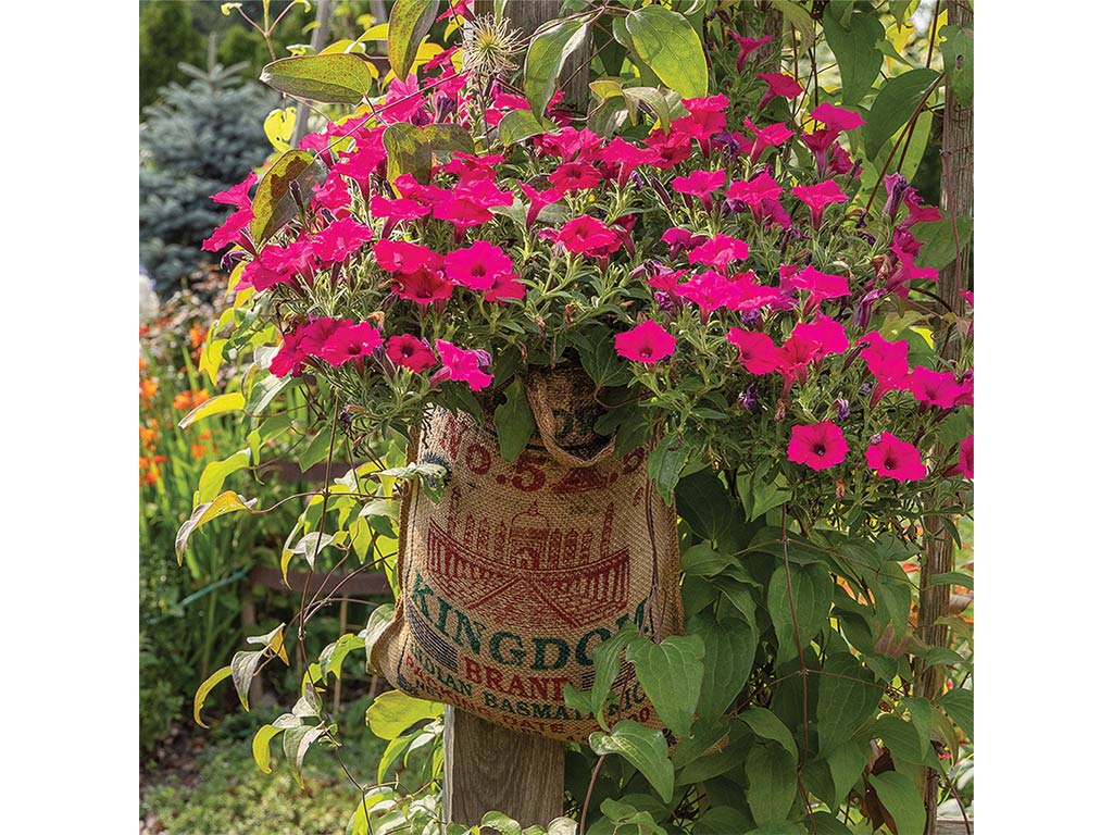 A burlap sack planter overflowing with vibrant pink petunias and greenery, mounted on a wooden post in a colorful garden.