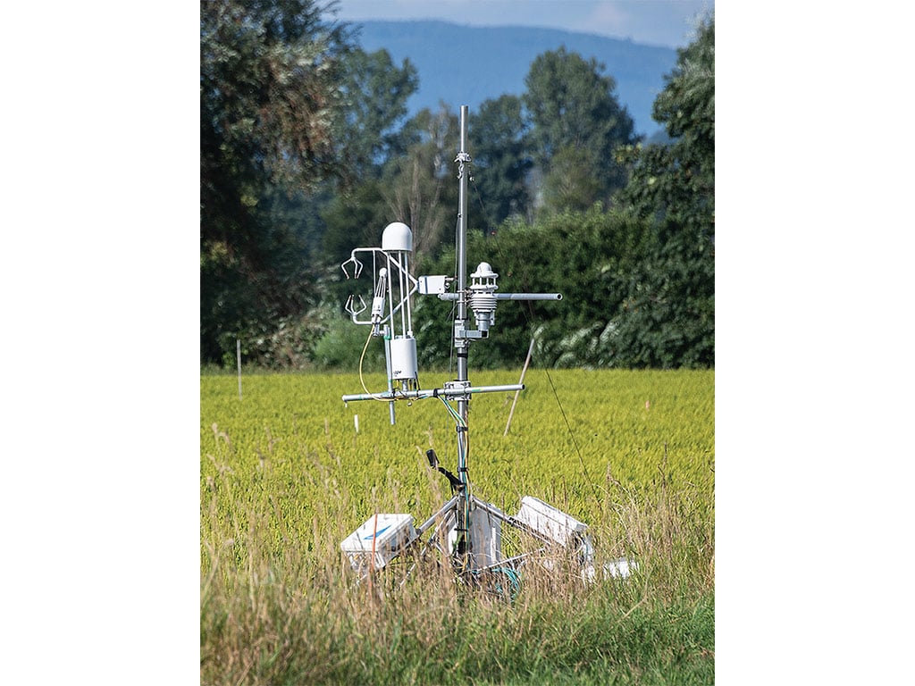 A weather station stands in a green field, surrounded by tall grass, with mountains in the background.