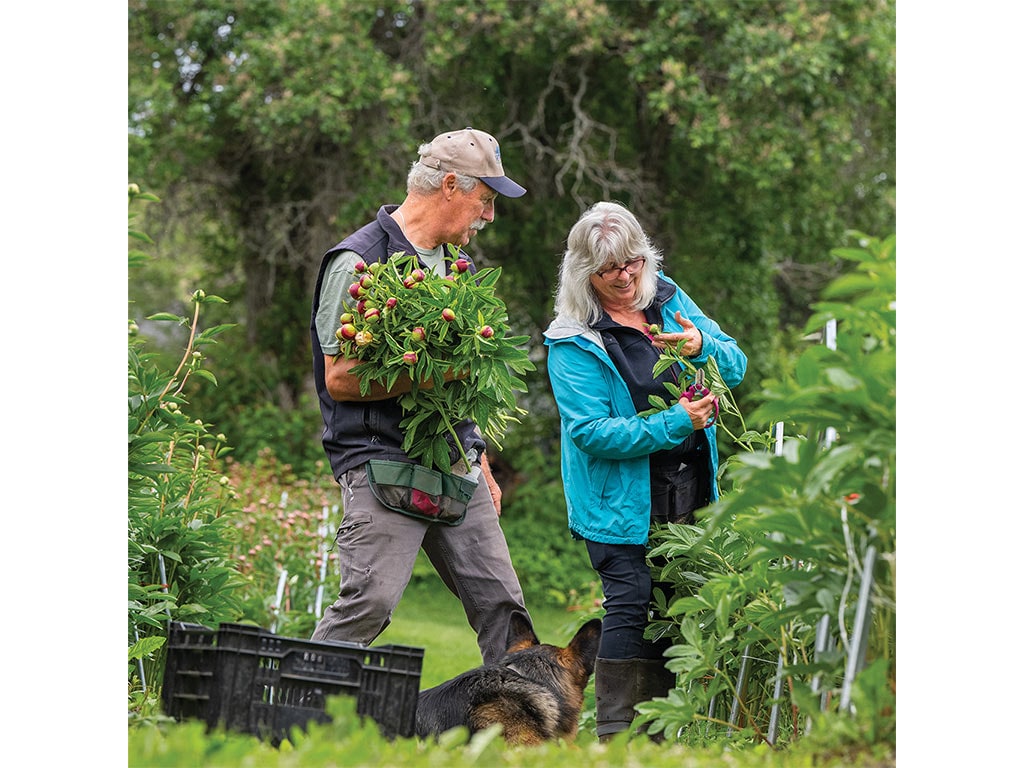 A man carries a bouquet of flowers while a woman snips stems, surrounded by lush greenery and a dog resting nearby.