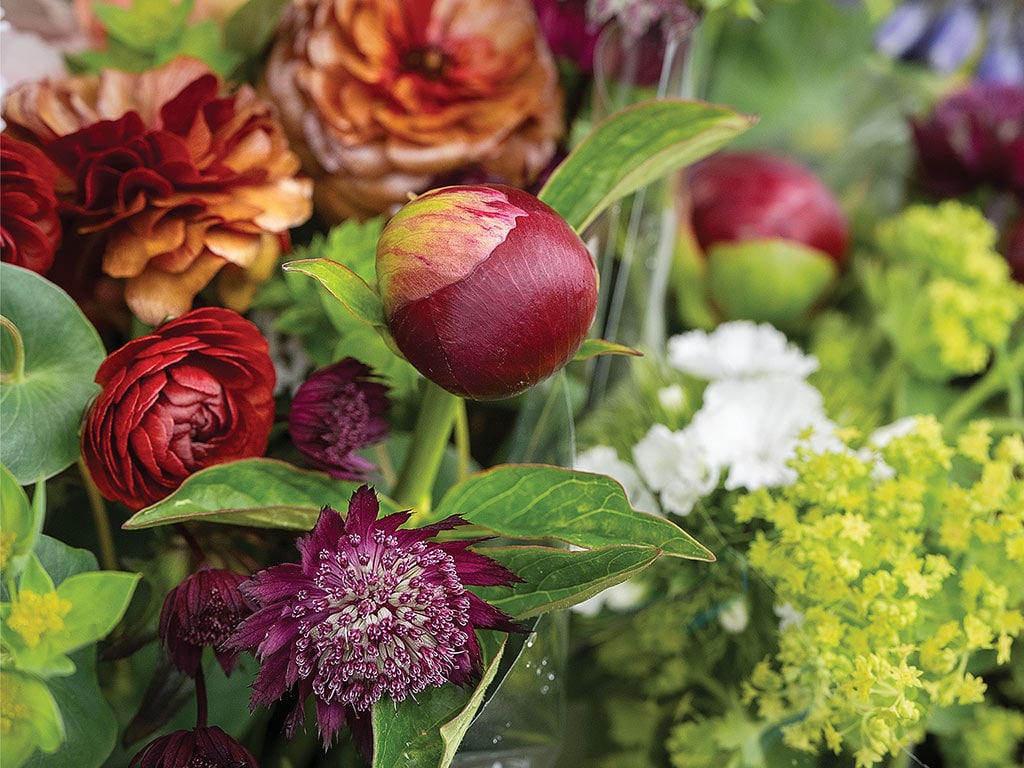 Vibrant bouquet featuring deep red peonies, ranunculus, and delicate white and green flowers, all surrounded by lush green foliage.