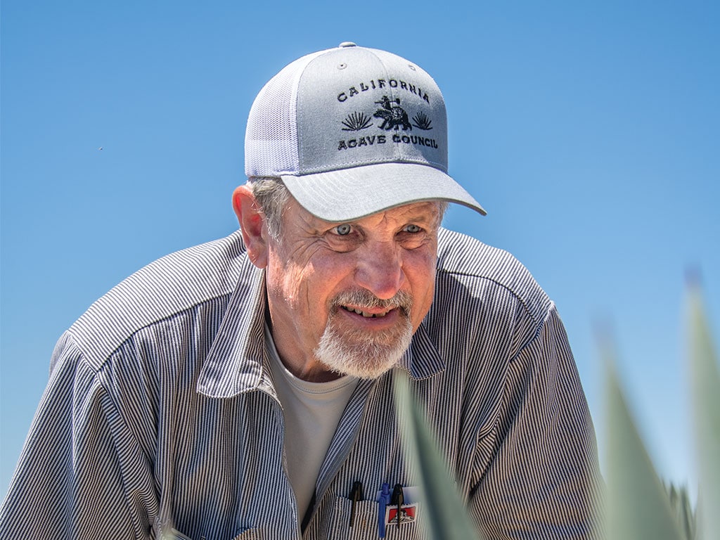 Craig Reynolds bent over looking closely at agave