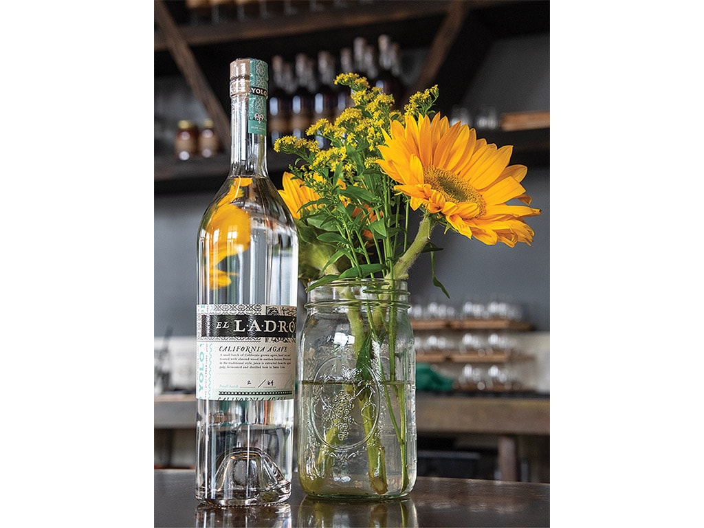 A bottle of agave spirits on a counter next to a mason jar of yellow flowers