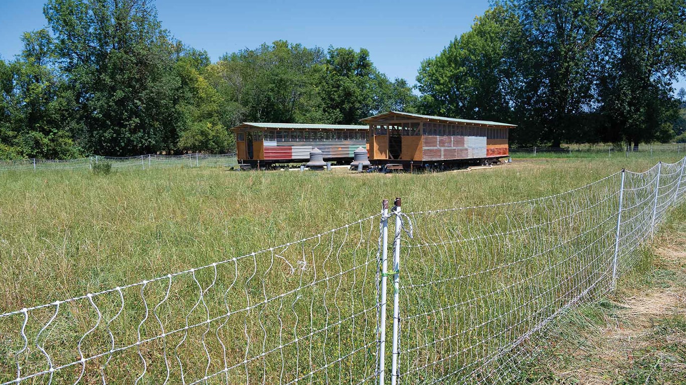 Grassy field with a white wire fence in the foreground and two wooden livestock shelters ahead.