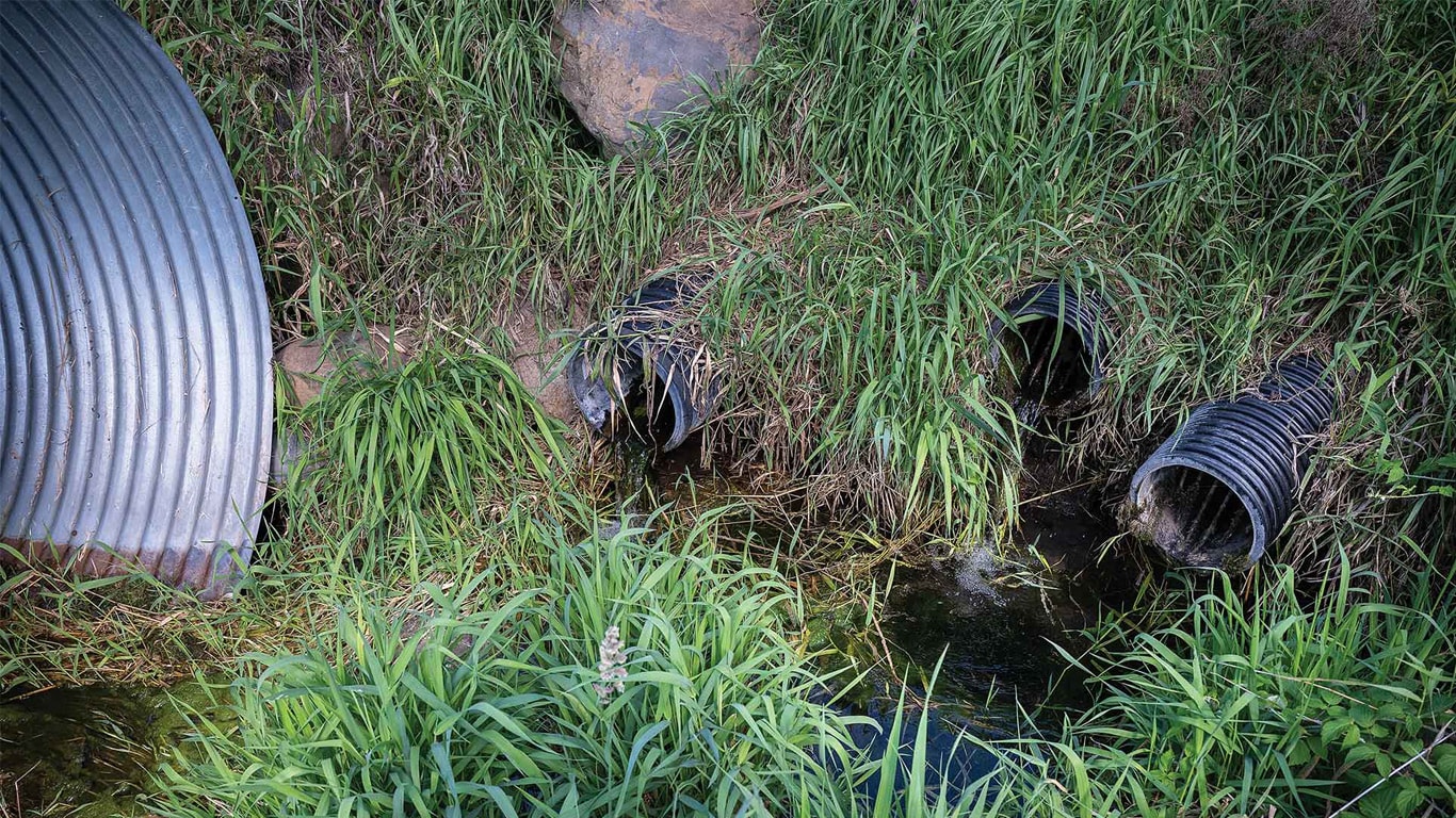 Several drainage pipes set into a grassy bank with water flowing into a small stream.
